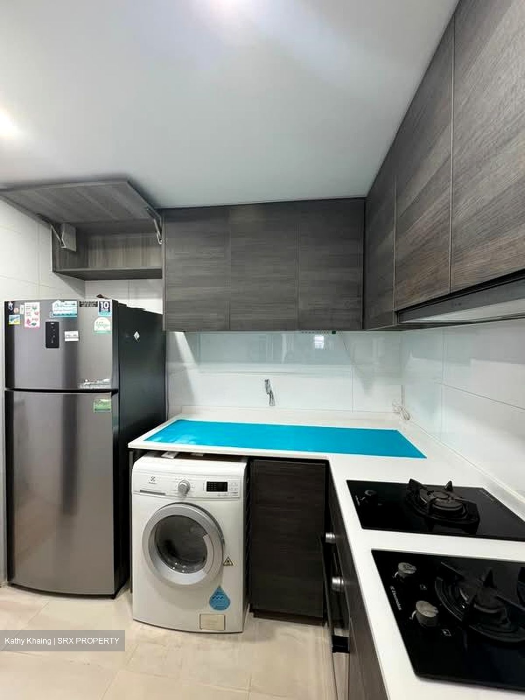 Sims Urban Oasis (D14), Condominium #592443821